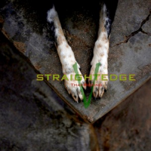 Sintra, Portugal: A dog rests at the APCA